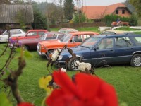 7. Rally oldtimer Stajerska 2014 IMG 1405