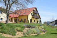 Posnetki fotografa Milana Sternada 003N