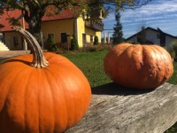 Jesen 2017 IMG 7600